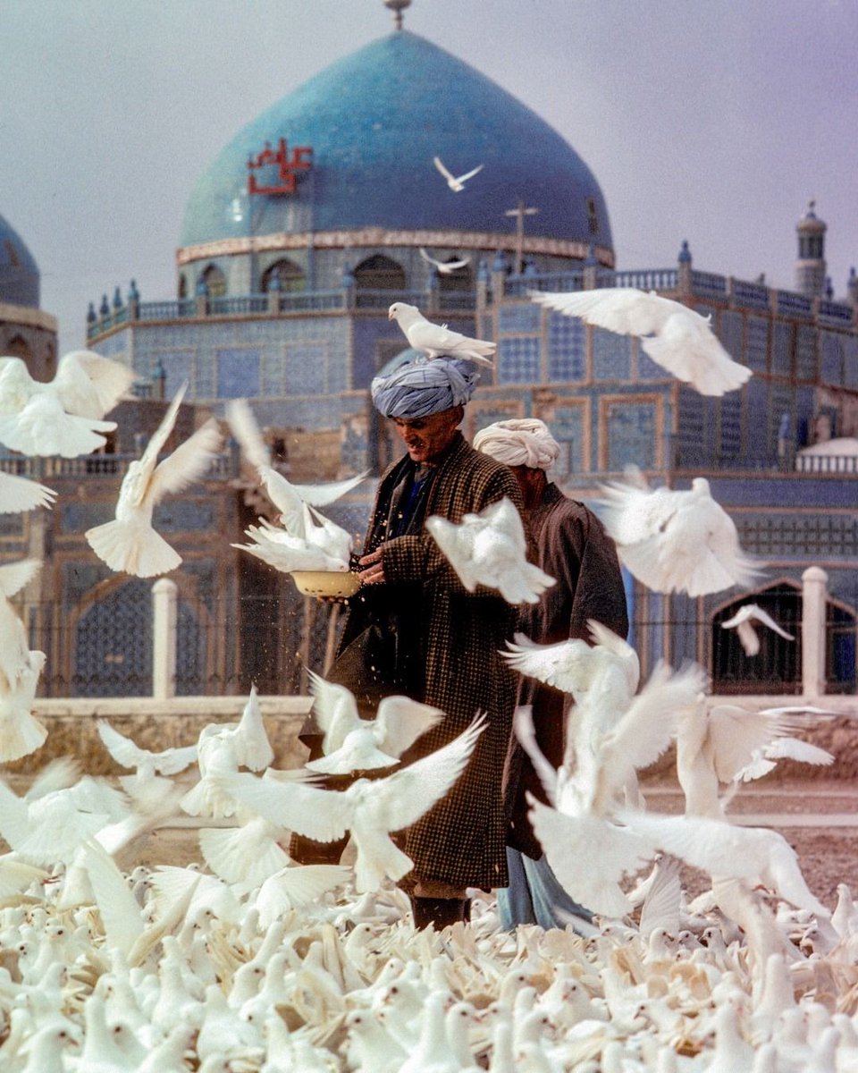Blue Mosque ,Afghanistan.