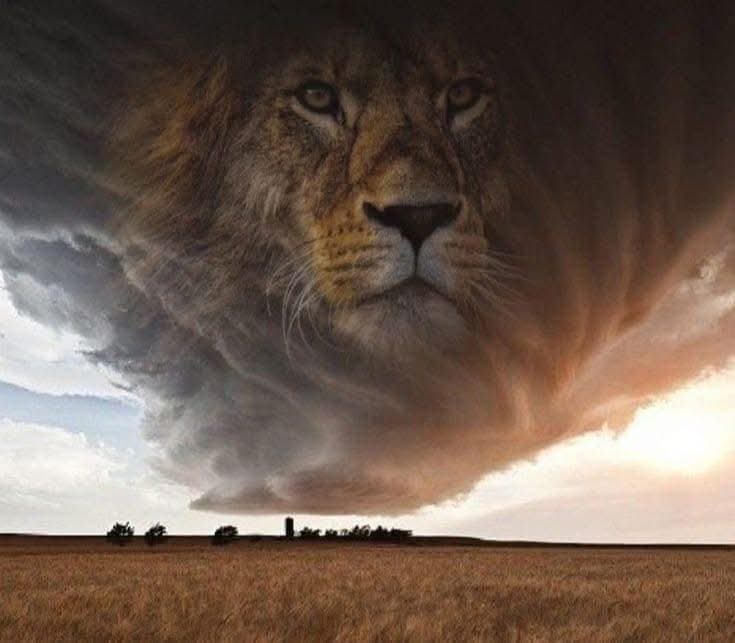 BothaAna's tweet photo. 🔥IN THE NAME OF JESUS 🔥

I declare and decree that no weapon, force, project, plot, curse, evil design shall prevail against you as the walls shall crumble, weapons forged against you shall dissolve and by the Glory of God your enemy shall be defeated. Amen https://t.co/RptxtfBPME