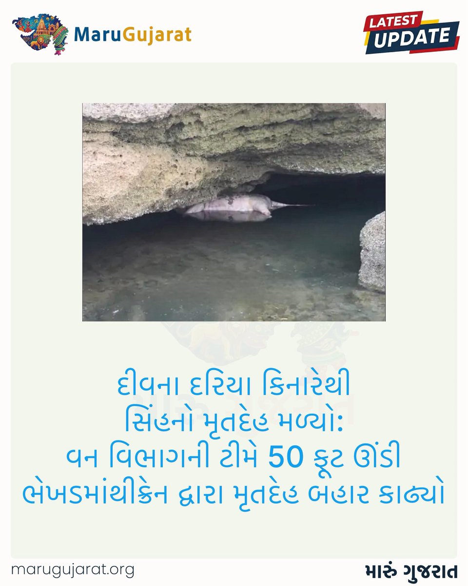 Maru Gujarat (@marugujarat_org) on Twitter photo 