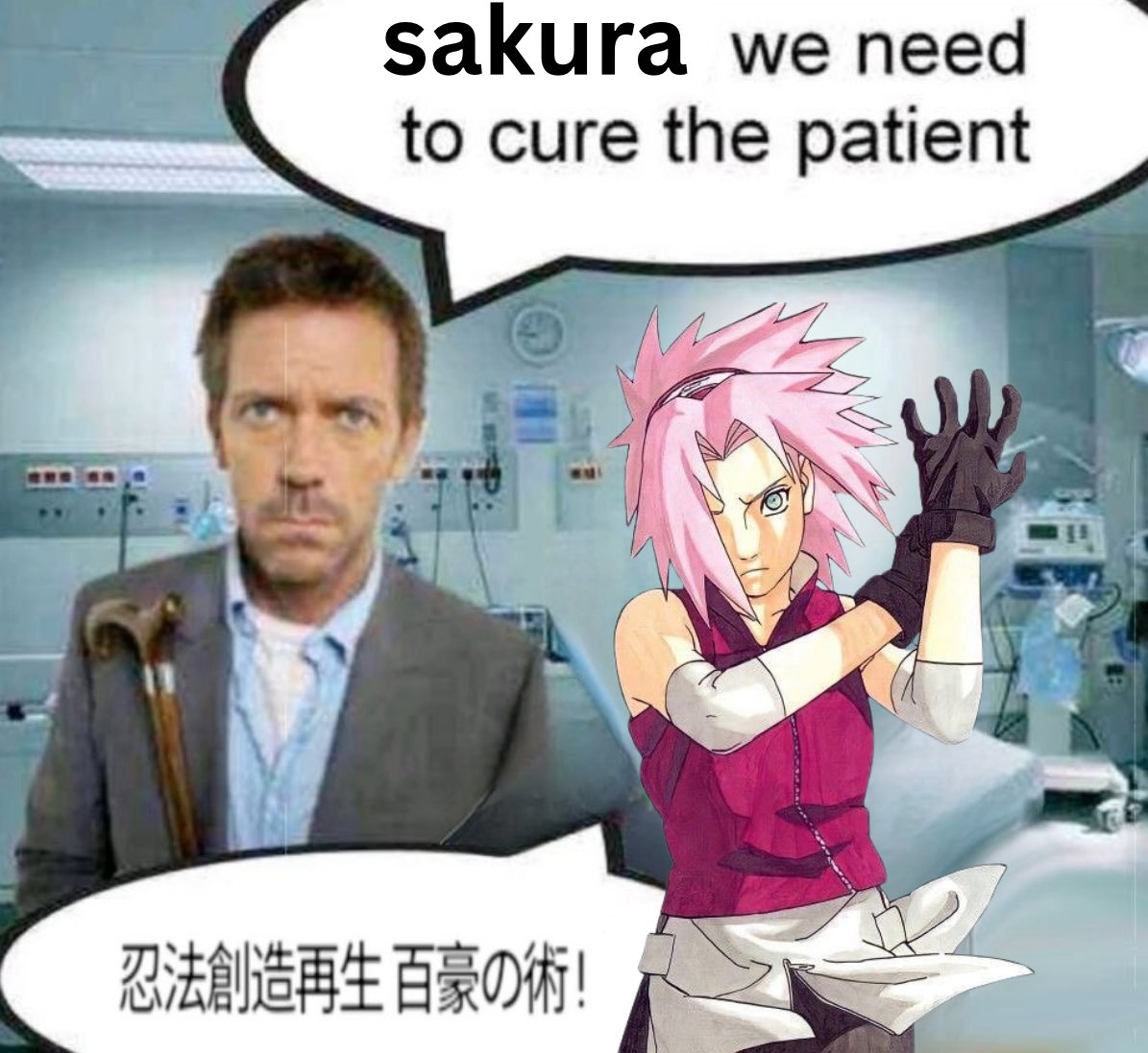 house and sakura are running the hospital like the navy