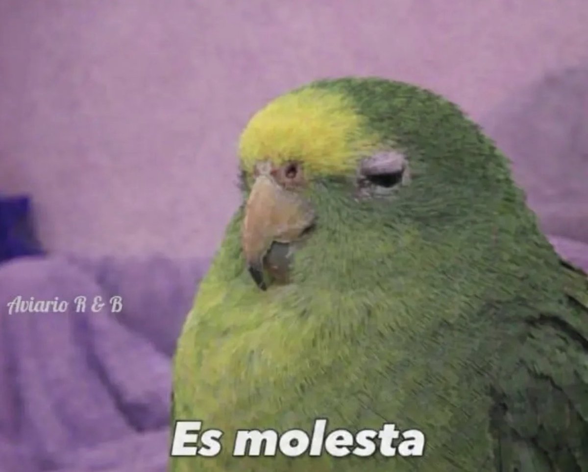 Guarromantico_'s tweet image. Yo después de conocer a alguien con mi misma personalidad: