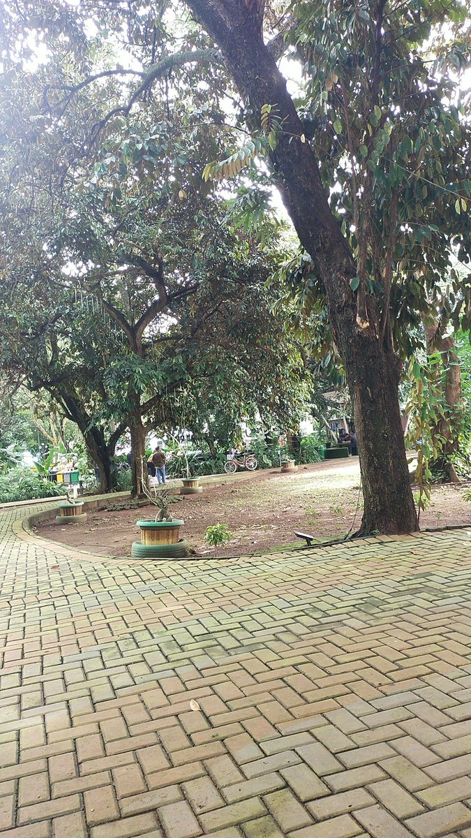 Aav5 (@aav5_12) on Twitter photo 