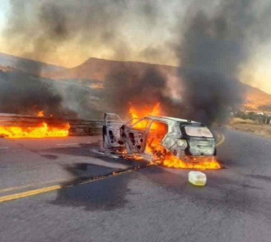 El Diario Del Narco tweet media