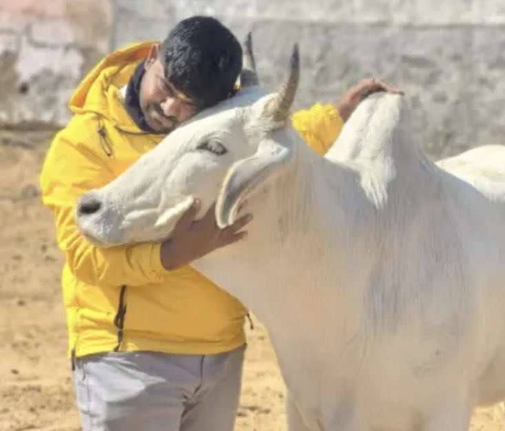 मोनू मानेसर के साथ जेल के अंदर अत्याचार हो रहा है।

परिवार से जो फ़ोन पर कभी कभी बात होती थी,वो भी बंद कर दी गई।

बीवी,माँ,भाई और छोटा बेटे से बात तक नहीं हो पा रही है।

उसको एक सुनसान कोठड़ी के अंदर डाल दिया गया है।

कृपया <a href="/NayabSainiBJP/">Nayab Saini</a> जी संज्ञान ले।

अंतिम साँस तक मोनू के साथ