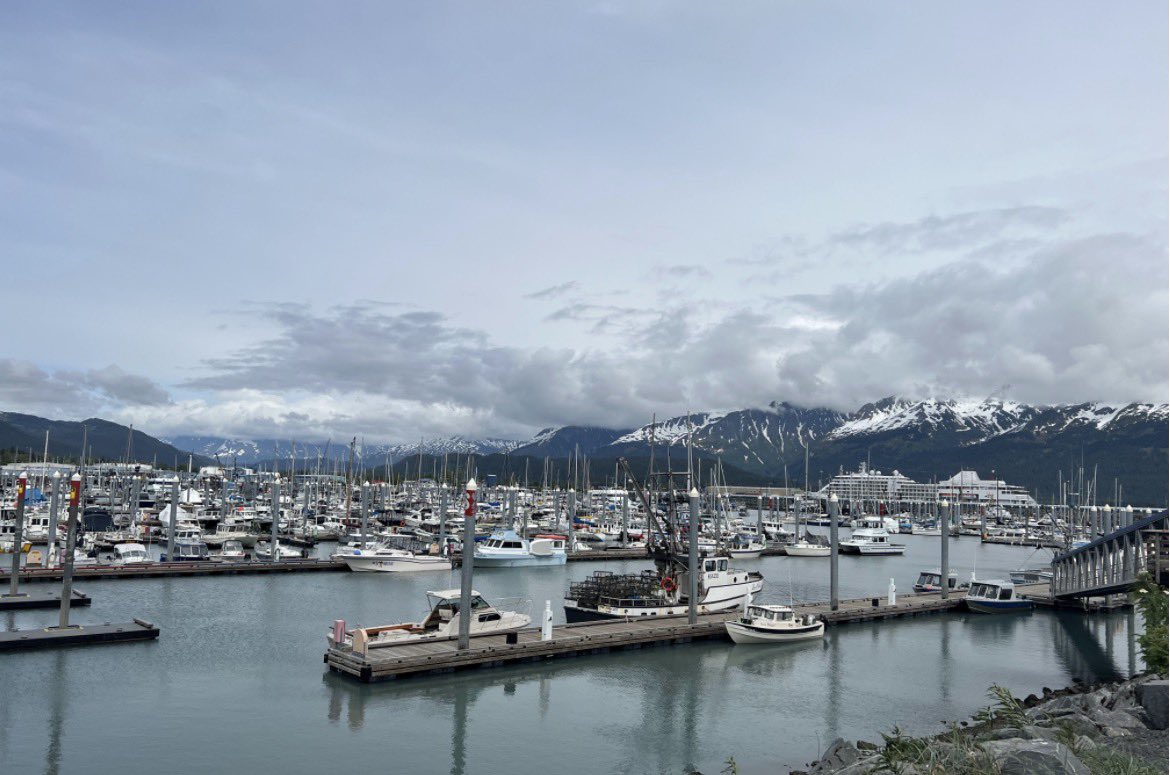 Aidan Doherty tweet media