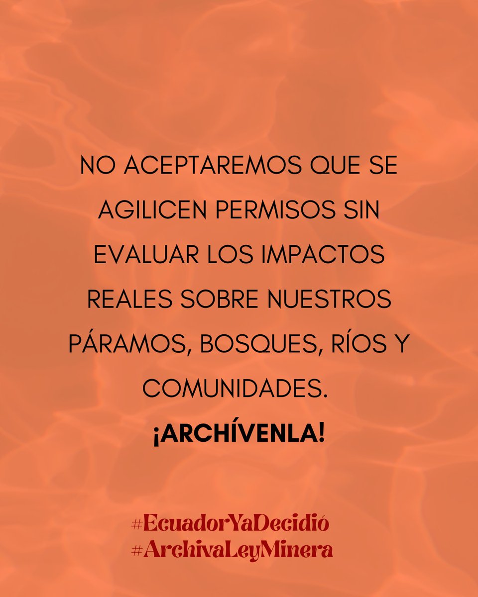 Una ley sin control ambiental es una amenaza silenciosa. #EcuadorNoTeDejes #ArchivaLeyMinera 🚨🌎 <a href="/alejo_laraP/">Alejandro Lara</a> <a href="/vicocgalapagos/">David Arias Montalvo</a>