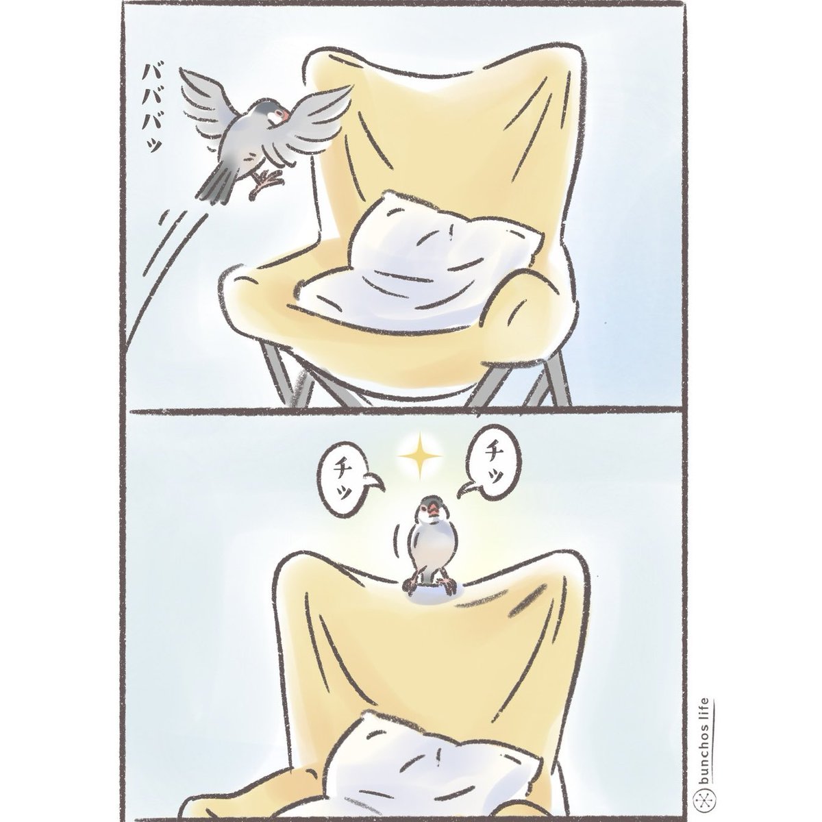 椅子で遊ぶ文鳥、楽しそう
#文鳥 
#4コマ漫画 