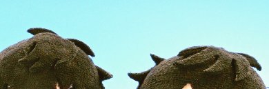 장의 머리카락의 이 부분 ㅈㄴ귀엽다