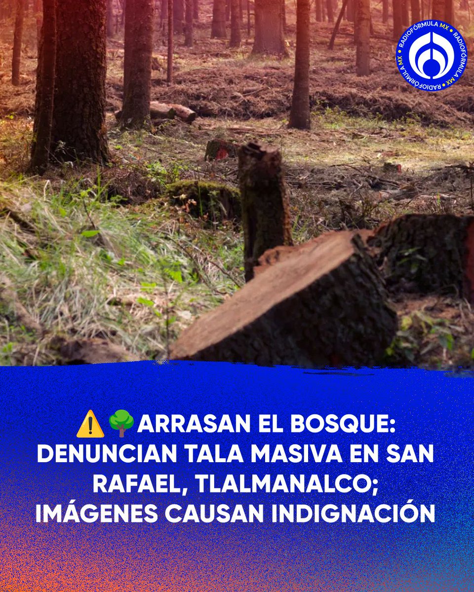 🌲⚠️ ¡El bosque está cayendo y las fotos lo prueban! Habitantes y senderistas denuncian una tala descomunal en San Rafael, Tlalmanalco, en el Estado de México. 

Desde diciembre, aseguran que el daño es cada vez más visible: árboles derribados, fauna muerta, erosión del suelo y