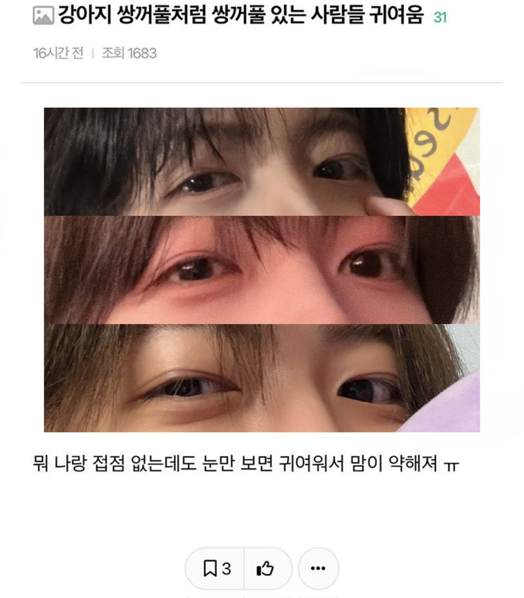 강아지 쌍커풀처럼 쌍커풀 있는 사람들 귀여움
뭐 나랑 접점 없는데도 눈만 보면 귀여워서 맘이 약해져 ㅠ