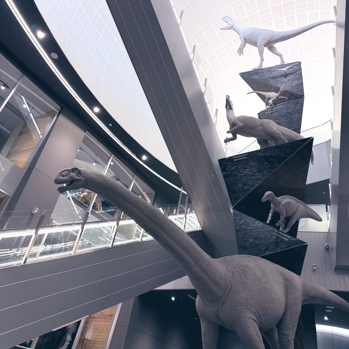 730730730's tweet photo. 来たぜ！！！念���の恐竜博物館🦕🦖🦕🦖 https://t.co/qX0MIOq7cA