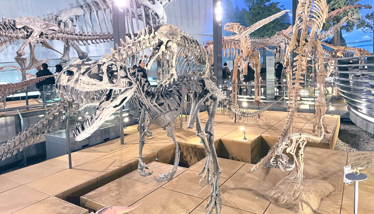 730730730's tweet photo. 来たぜ！！！念���の恐竜博物館🦕🦖🦕🦖 https://t.co/qX0MIOq7cA