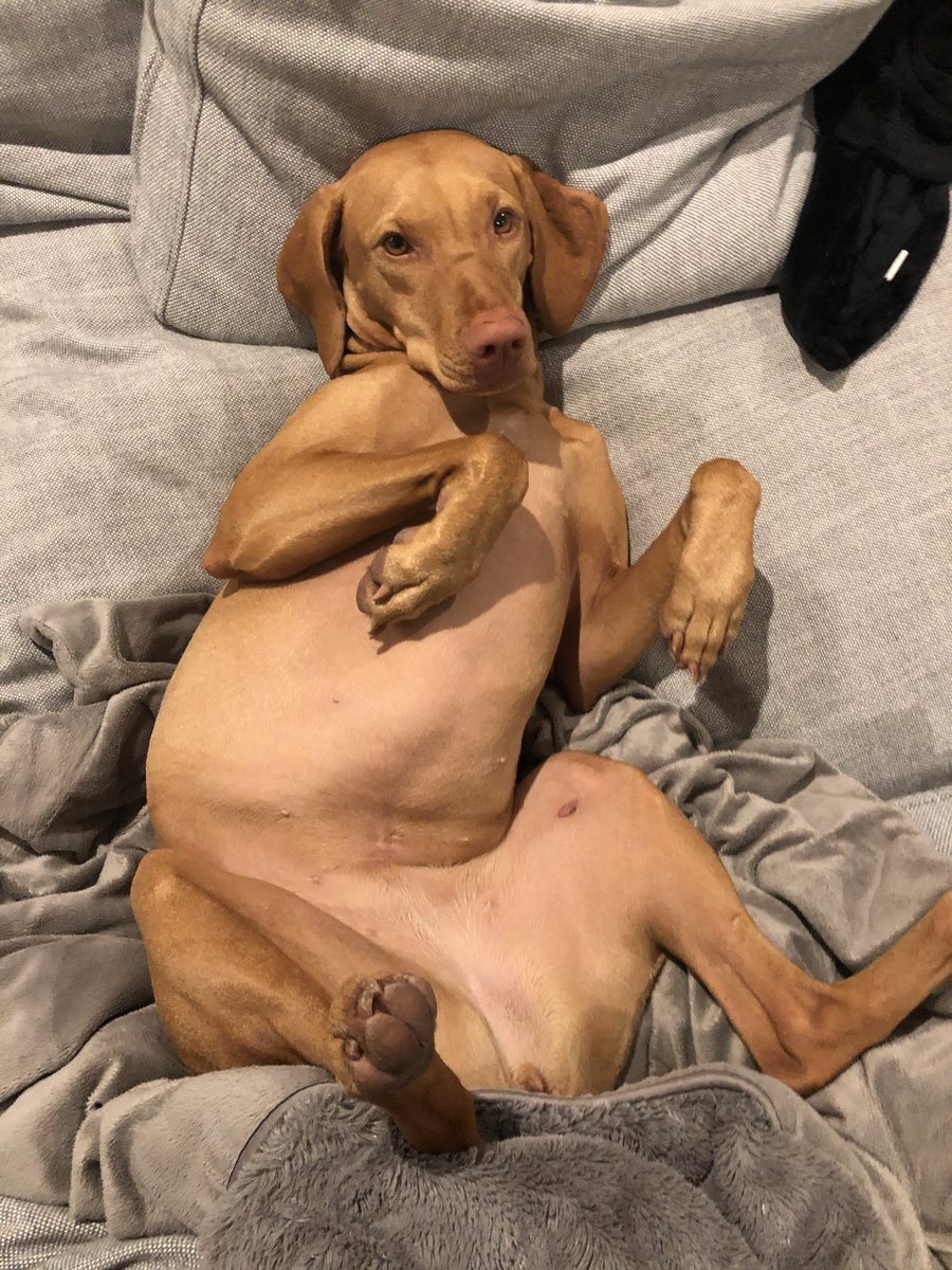 Shake Pryzby tweet media