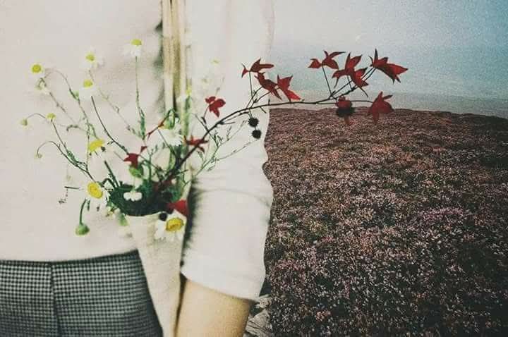 Can Tanem tweet media