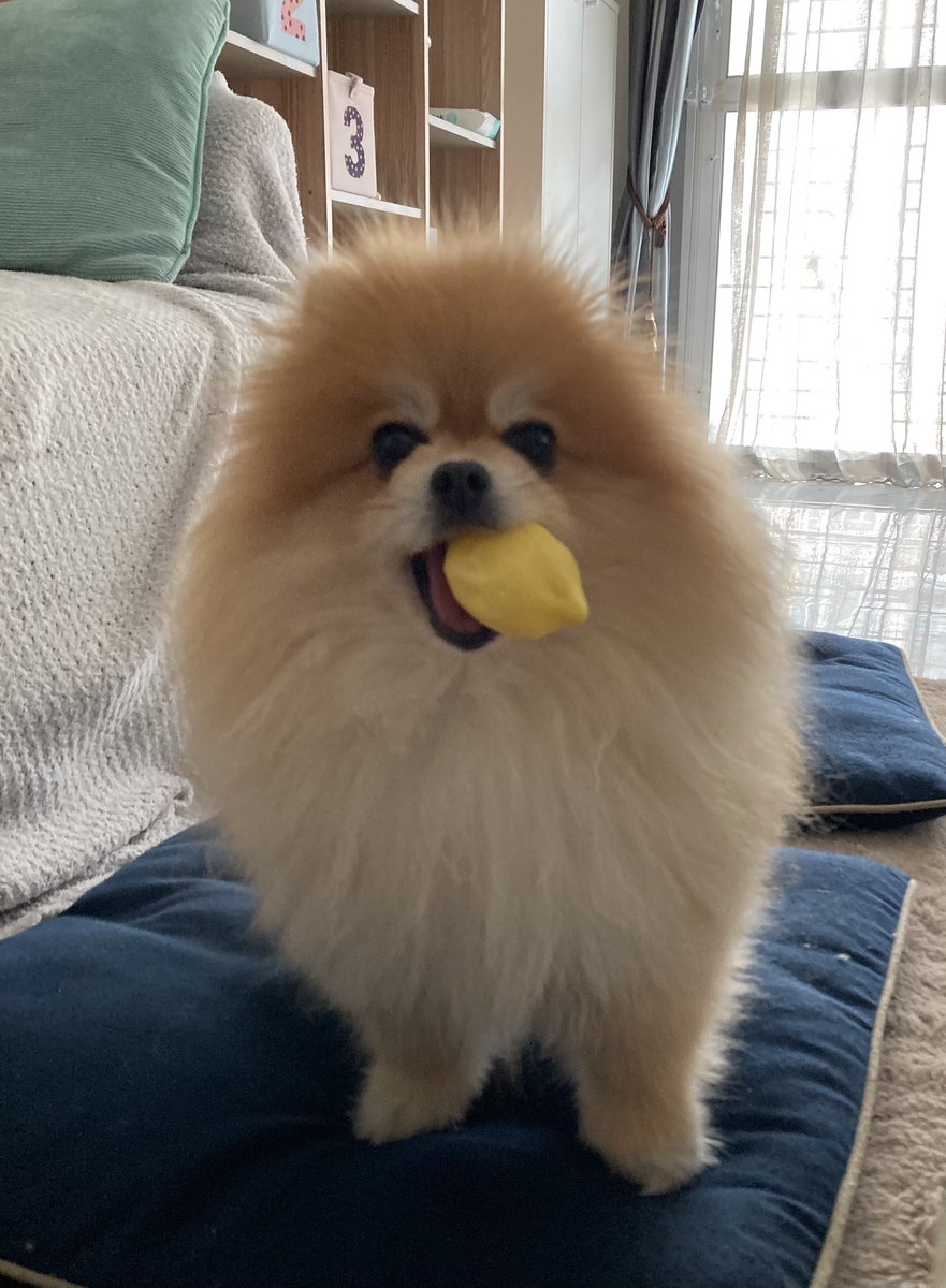 檸檬