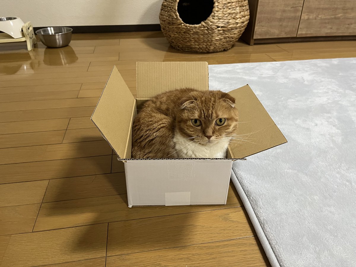 自分のものは節約するけれど、この子のものはあまり値札見ない｡自分の体のどこが痛くても様子見するけれど､この子の様子がおかしい時はすぐ病院へ行く。そして栄一が飛んで行く。でもいいんだ。それ以上のものをもらってるから。