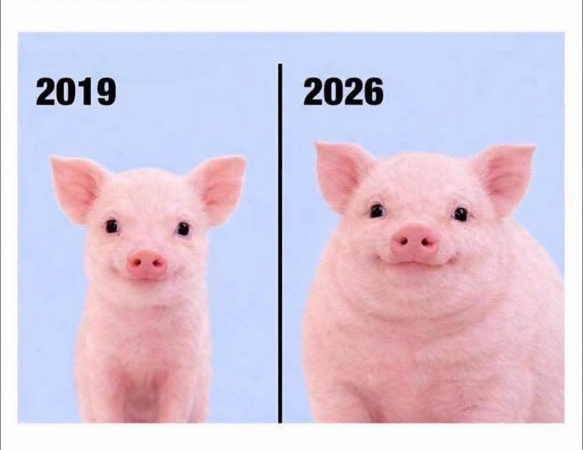 En Júpiter (@en_jupiter_) on Twitter photo 