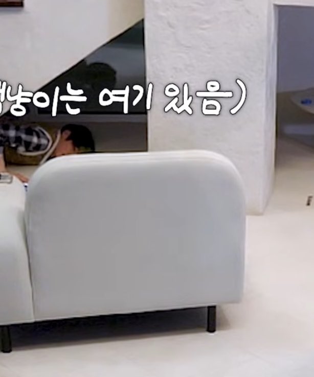 칼같아보이던 대리님 서류 사이에 몰래 폰으로 냥캠 하염없이 쳐다보다가 냥빊이 맨날 기둥에 올라가고 계단 밑에 숨어서 집에 도착하자마자 후다닥 뛰어서 애 찾으러 집 뒤지신대