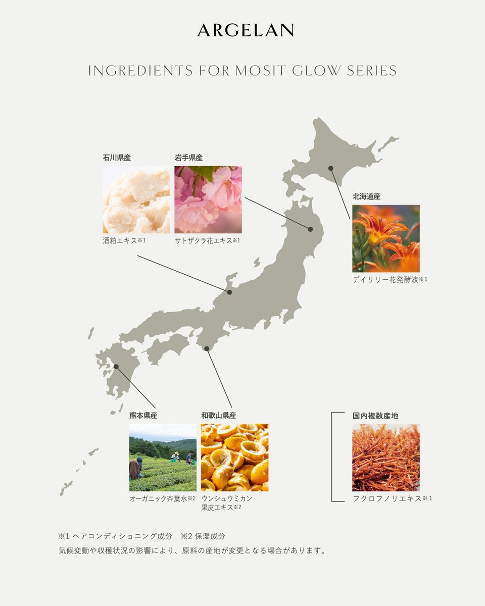 【RENEWAL】HAIR CARE ITEMS

ブランドを代表する人気シリーズ「モイストグロー」が
さらなる進化を遂げてリニューアル。

新たに採用した国産素材の数々が、モイストグローをさらにリッチに仕上げます。

#アルジェラン #マツキヨ #ココカラ