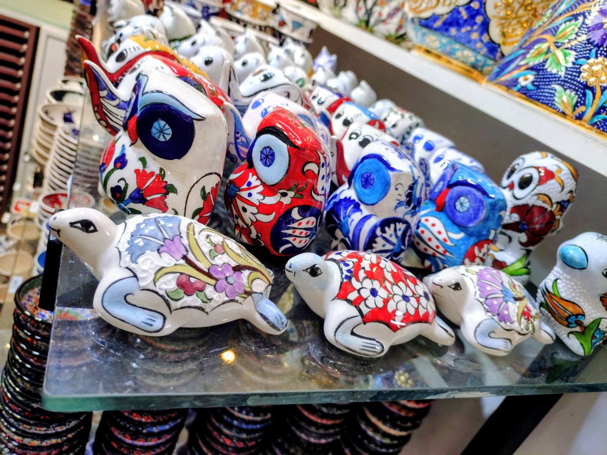 かめきち (@testudo216) / Posts / X