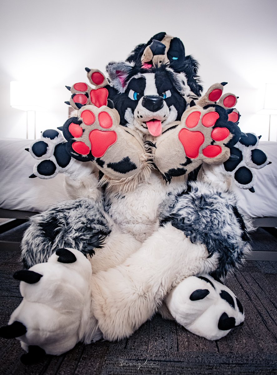 Softness 😌 tweet media