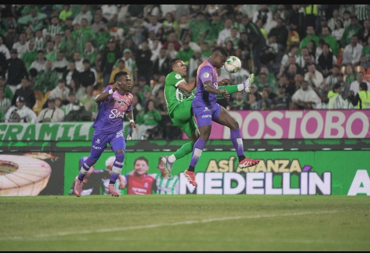 Roberto Urrea P tweet media