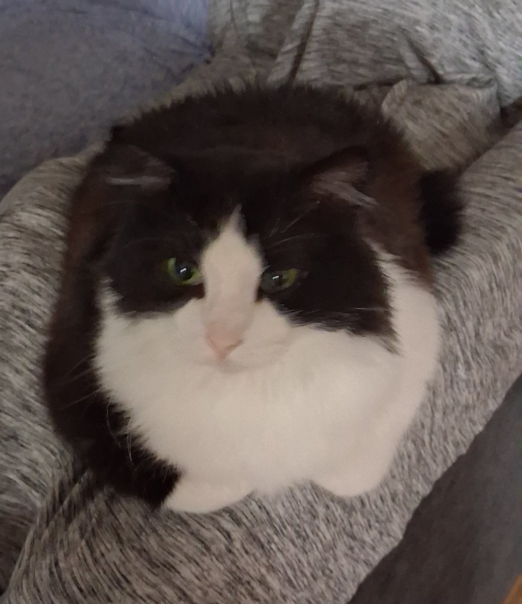 Iron Lung movie was cool