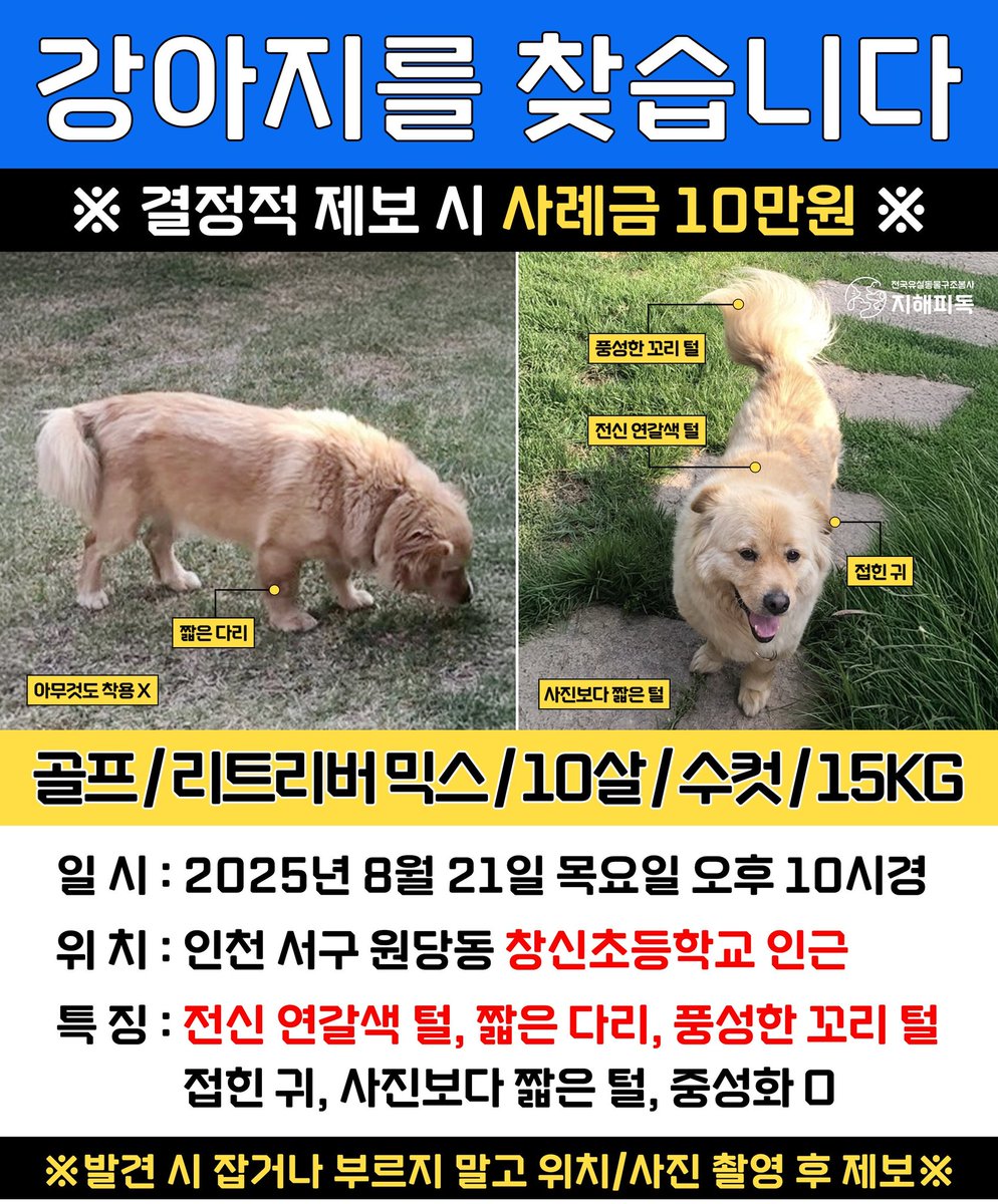 지해피독 봉사자 tweet media