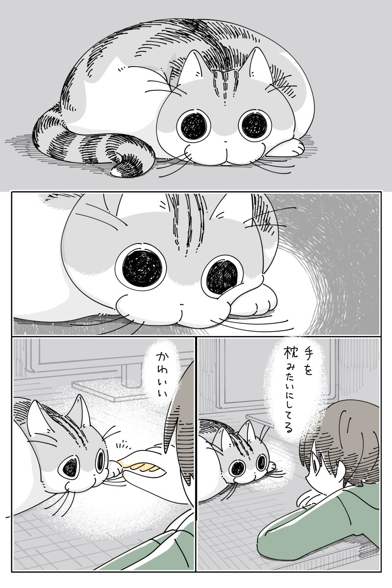 Post by キュルZ on X: 手で枕
