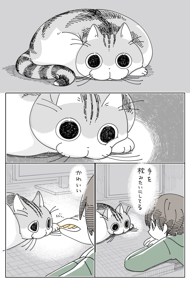 ちゅまるページ キュルZ on X: 