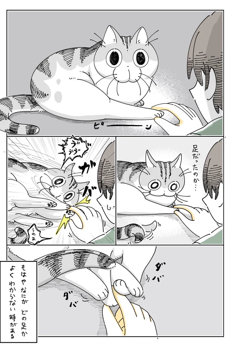 じゃれねこ『2月☆⑨鶴』 キュルZ on X: 