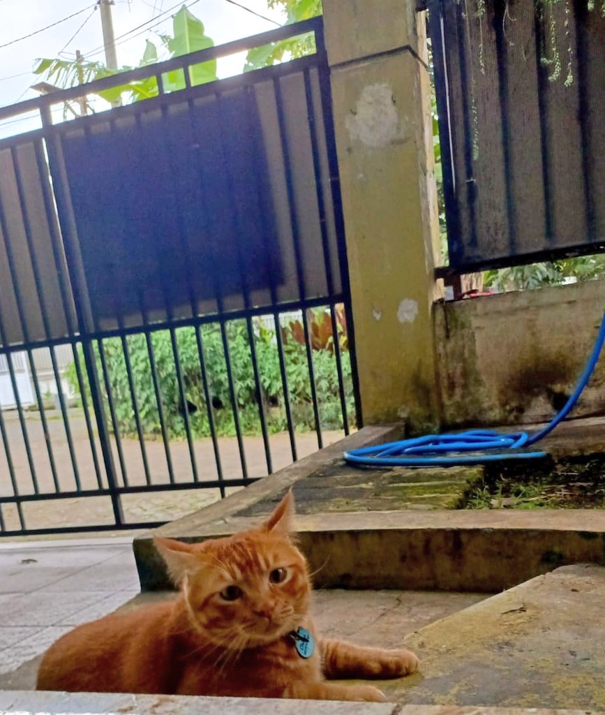 Ayang janda, abang tunggu disini yaa kita nongkie2 sambil suapan dredut