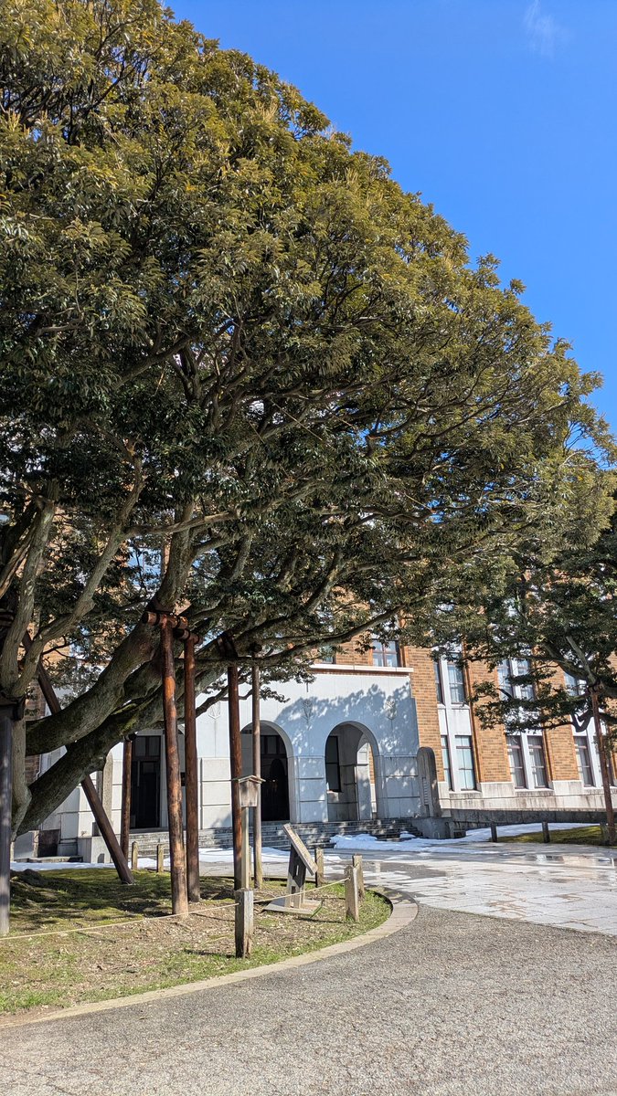 しいのき迎賓館で行われている末松智さんの展覧会を観てきました。前田家の方々の肖像画は生き生きとしてますし、
金沢城を描いた作品は往時の姿に思いを馳せることができます。写真の肖像画は利家公の側室で三代利常公の母・寿福院
#金沢 #末松智 #金沢城 #寿福院