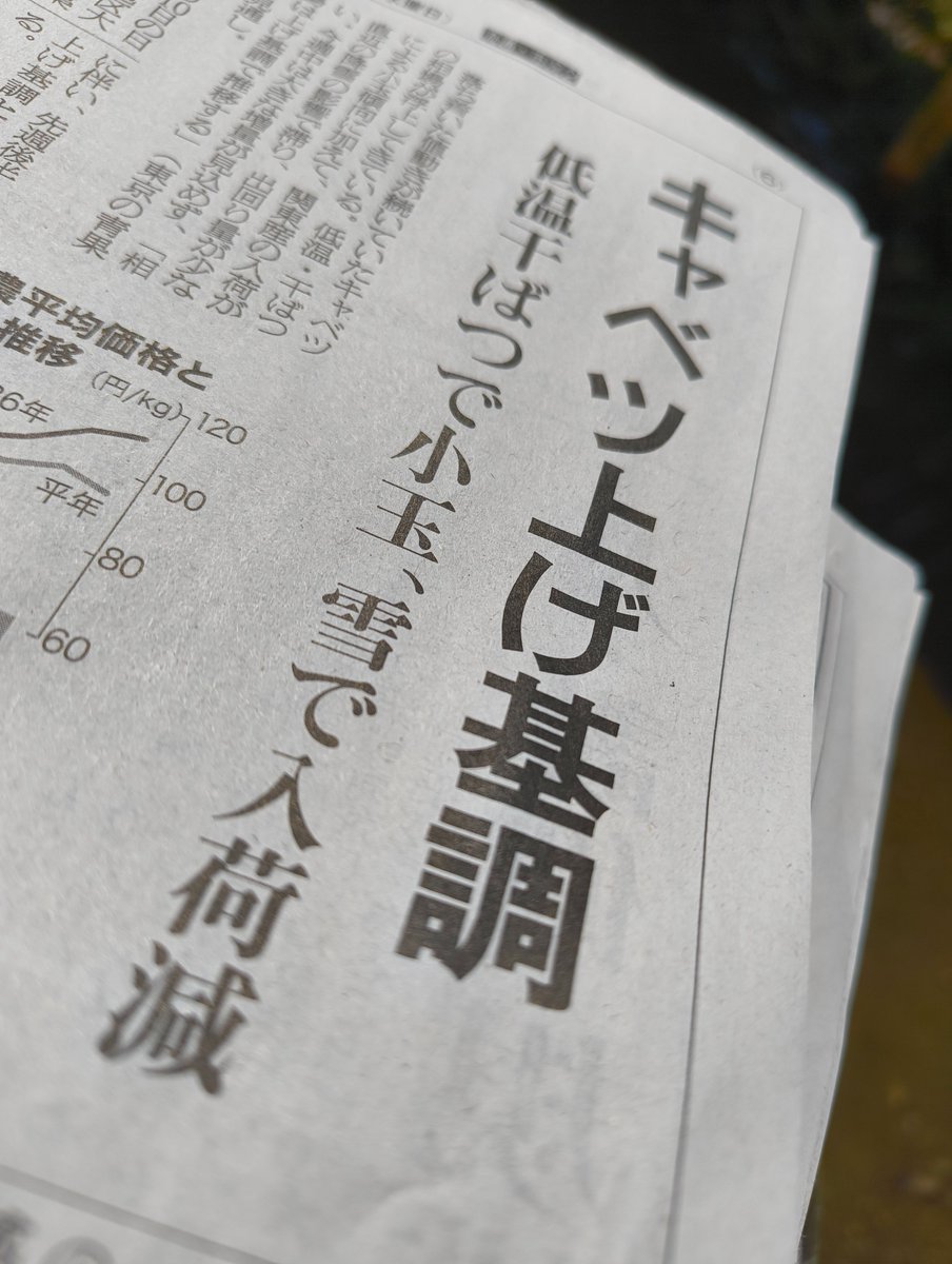 Post by Hirunetta_Asakuraano on X: ヨシ