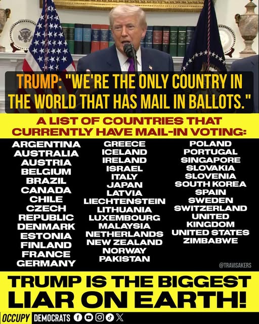 Poppy 💫🇦🇺☮🍅🥒🥕🥭🍊🍋 tweet media