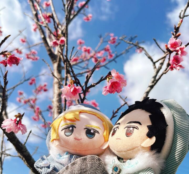 今年も咲いたねー🌸