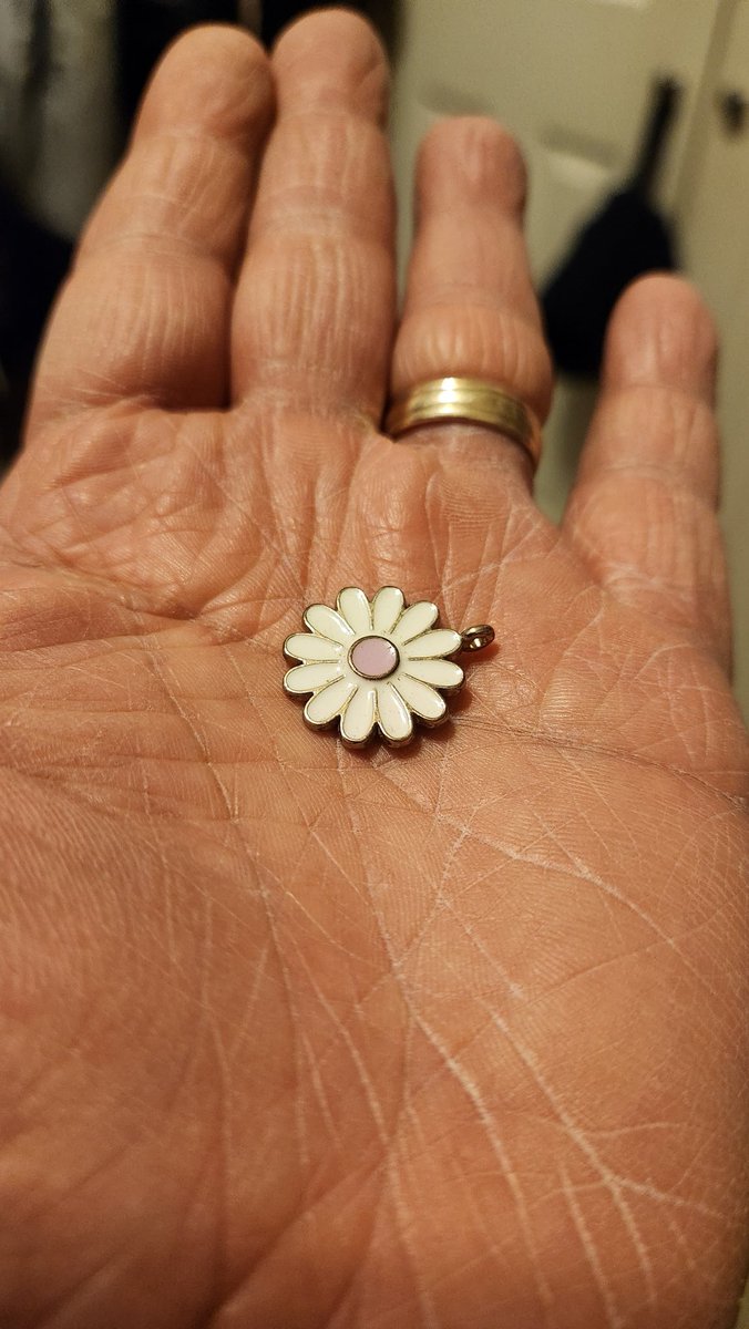 ReelCastPodcast's tweet image. Only one keeper tonight, little pendant. #metaldetector #CoinHunt #metaldetecting