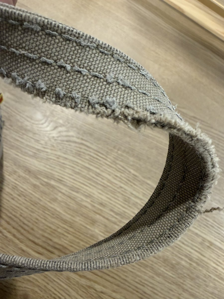 にゃんギラス@🐈🦖 tweet media