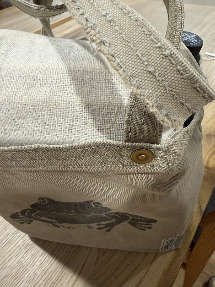 にゃんギラス@🐈🦖 tweet media