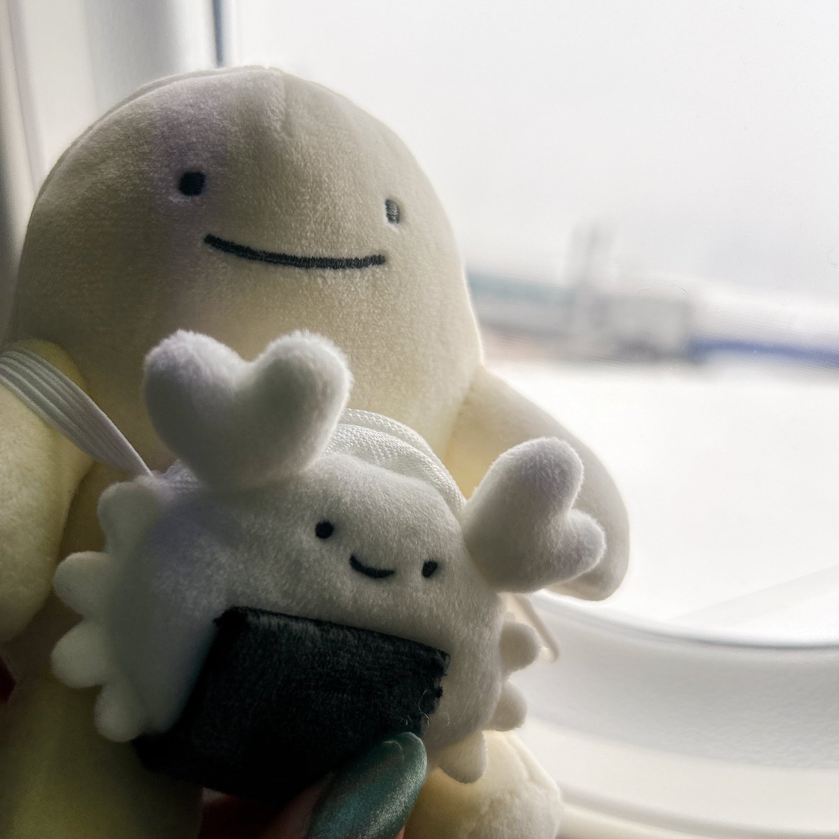 え、まって可愛すぎる🤦‍♀️