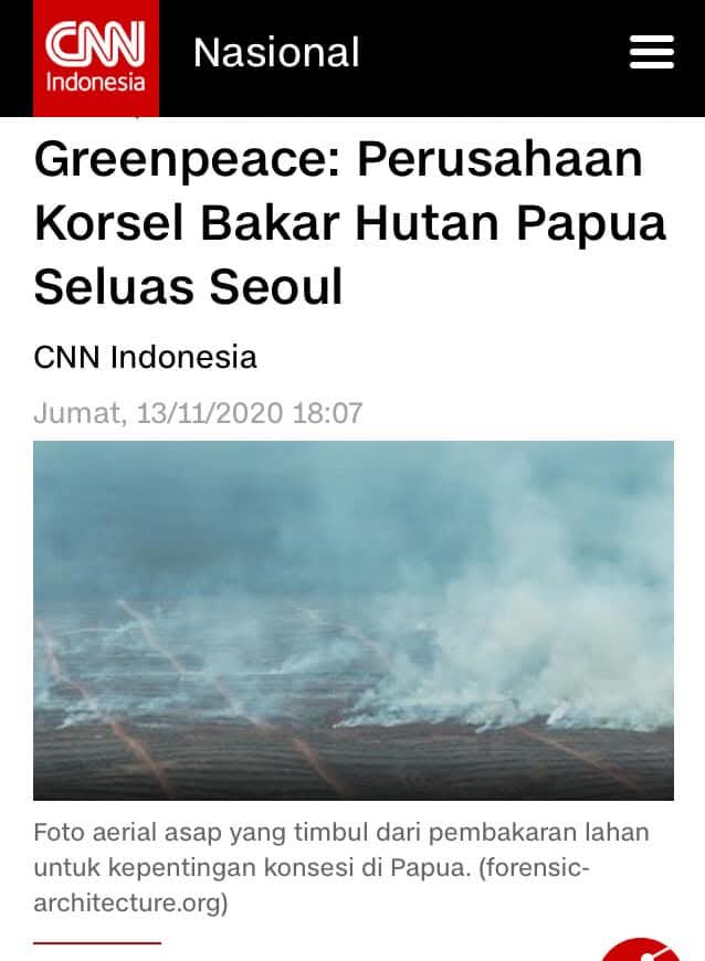 nasalis tweet media
