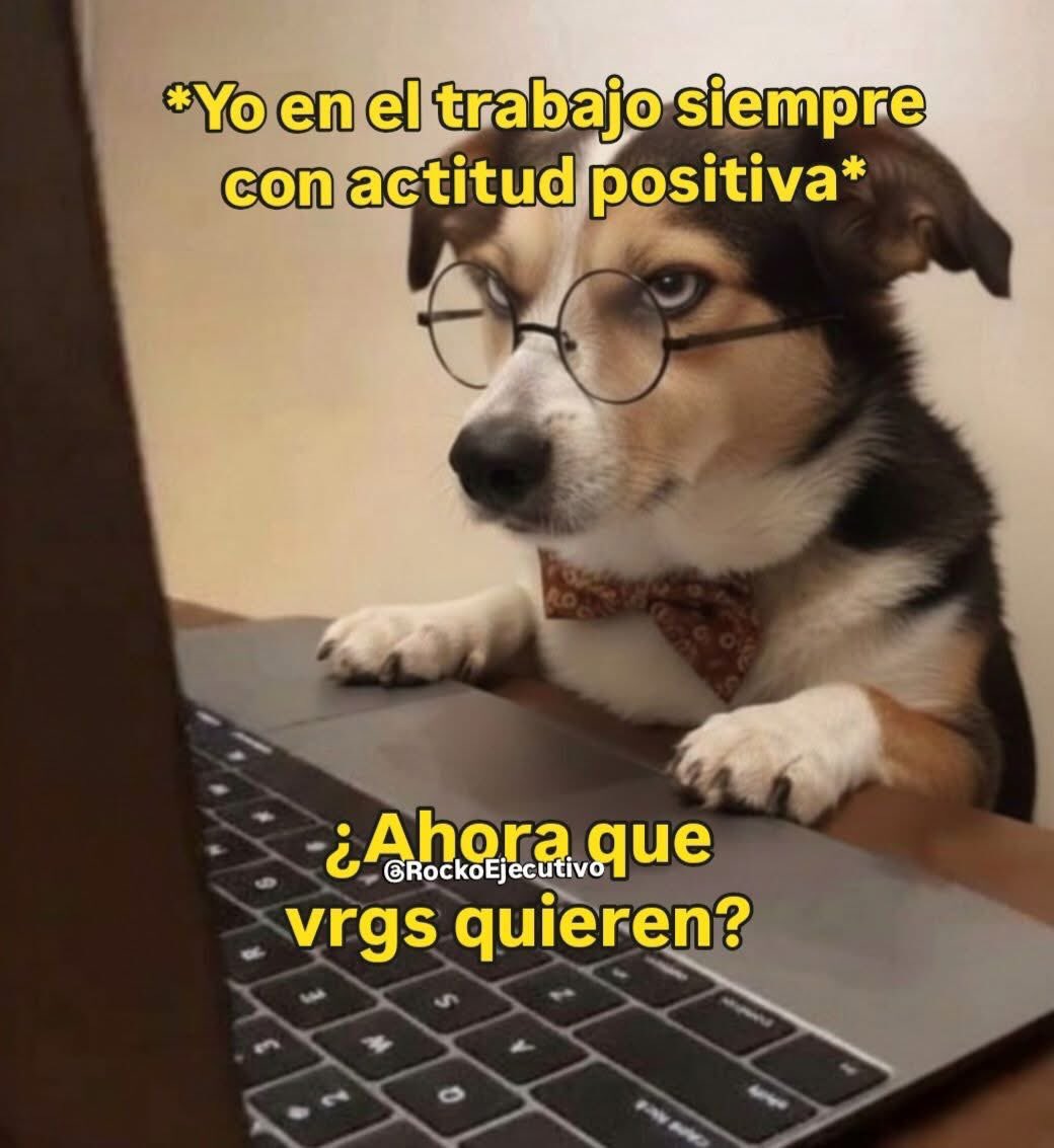 Con toda la actitud!! 😁😁😁