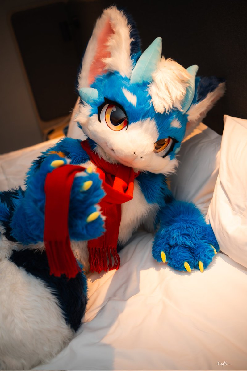 泷浩/A龙 ♤Antansty tweet media