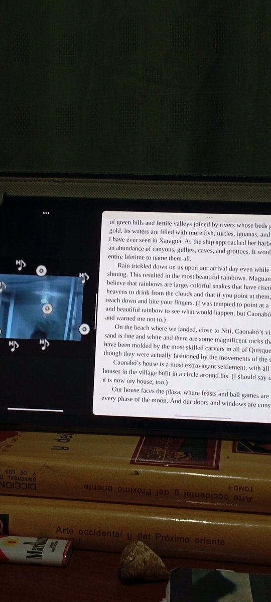 palitodedriado's tweet image. Wip , doing My #thesis, reading some Caribbean literature. Edwidge Danticat , Anacaona' diary