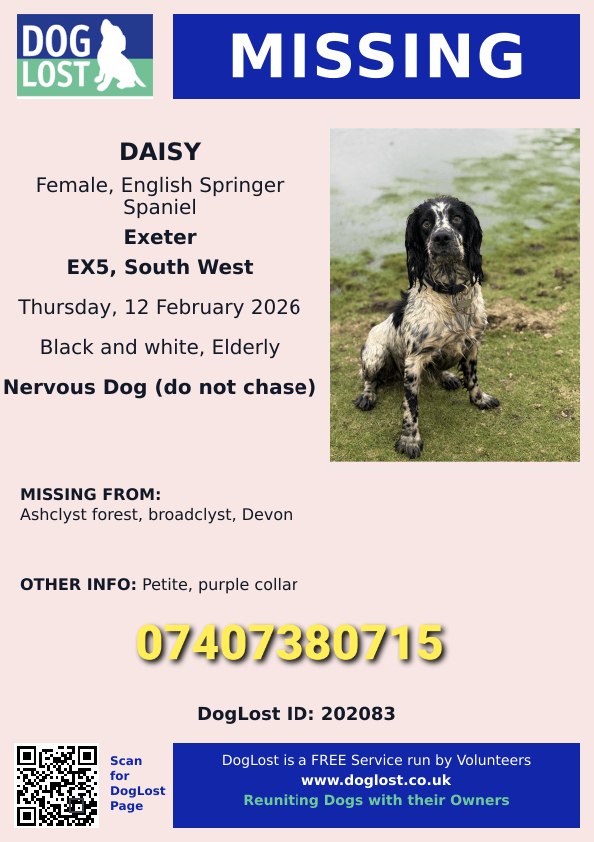 Missing Pets GB tweet media