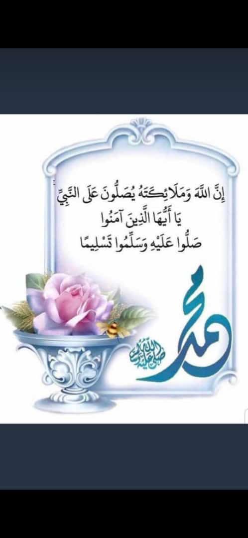 محمد علي آل مشافي tweet media
