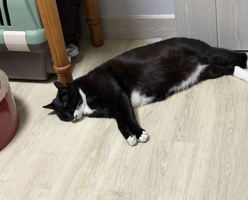 누님 
전 커서
대통령이
될 거예요                                                   커찮아