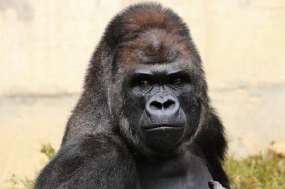 .⋆｡하늘 ݁⋆🍀 (@mabbiiahluen) on Twitter photo 