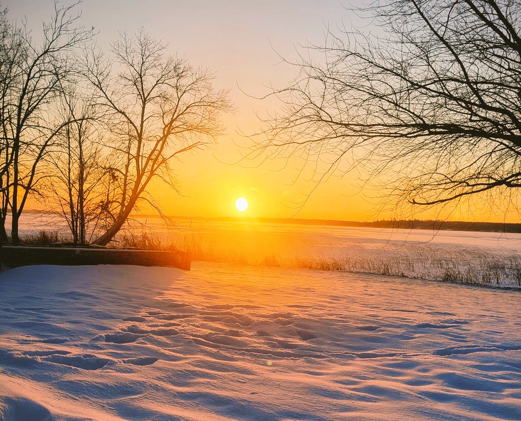 ✧⁺⁎ MisMagpie✧⁺⁎ tweet media