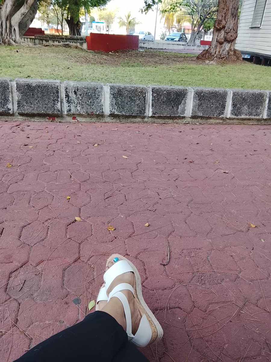 Chetu_1000f tweet media